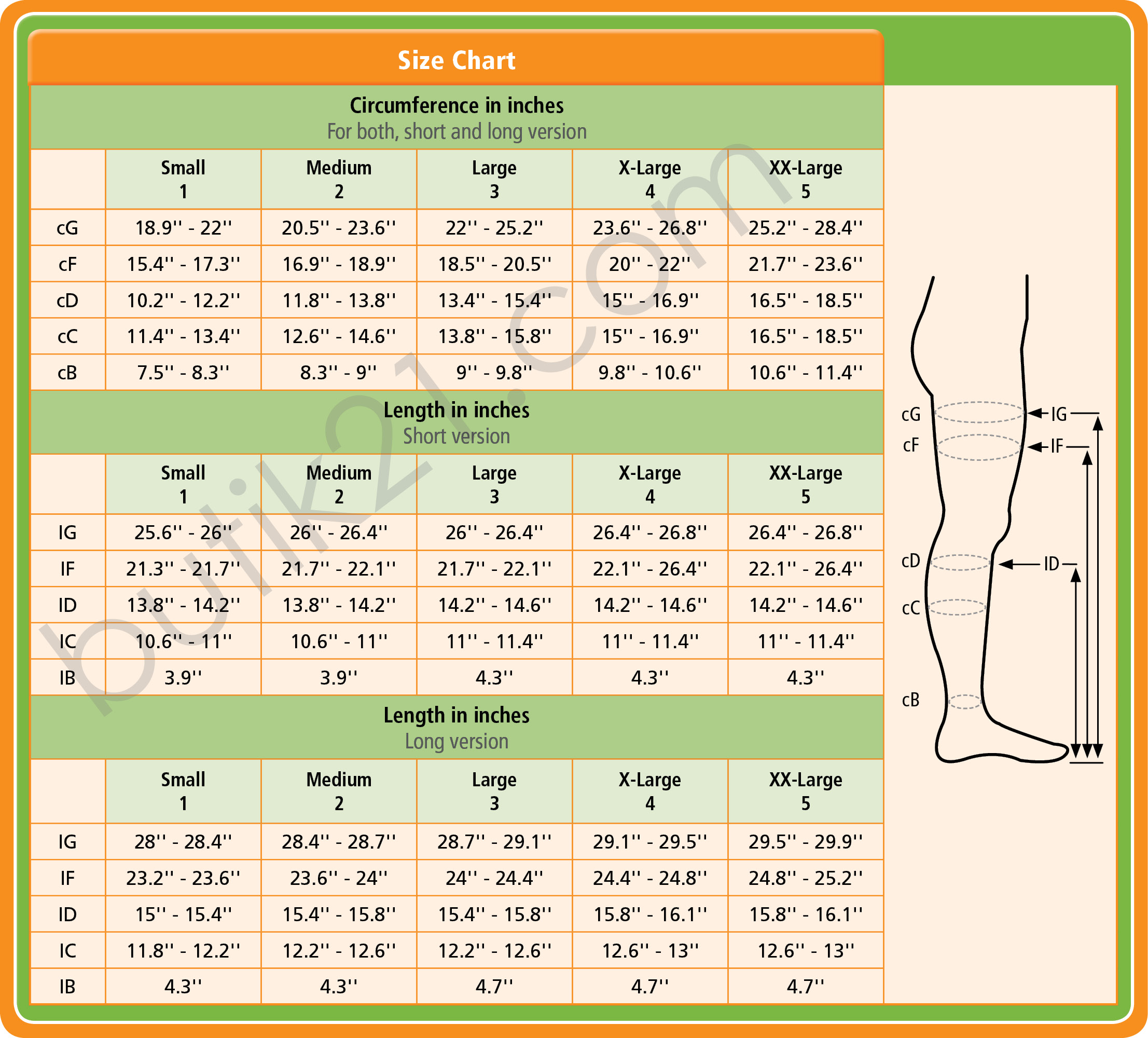 Size chart medical compression socks, tigh (short, long) - Fotgrossisten