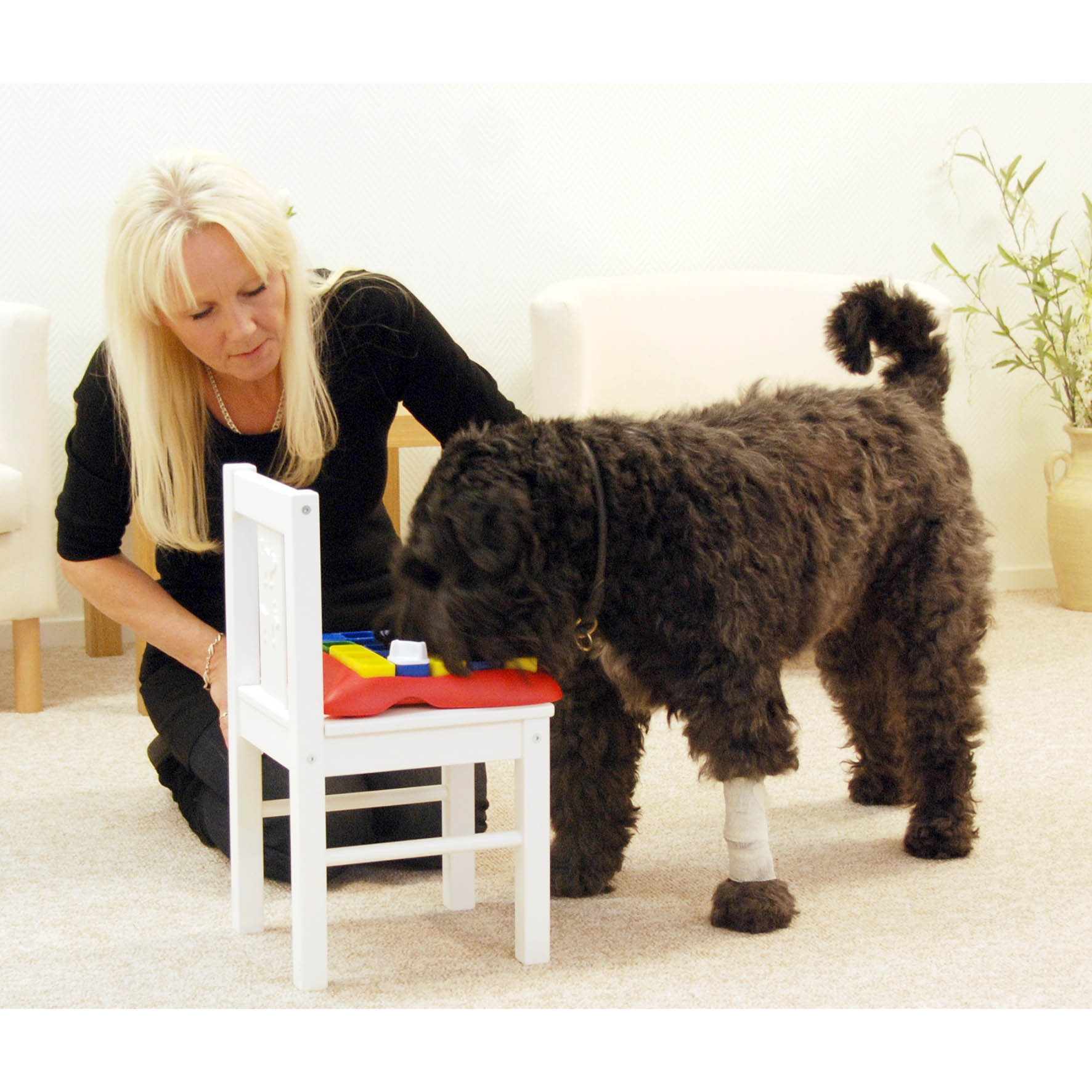 The Ultimate Guide To Nina Ottosson Dog Puzzles – Furtropolis