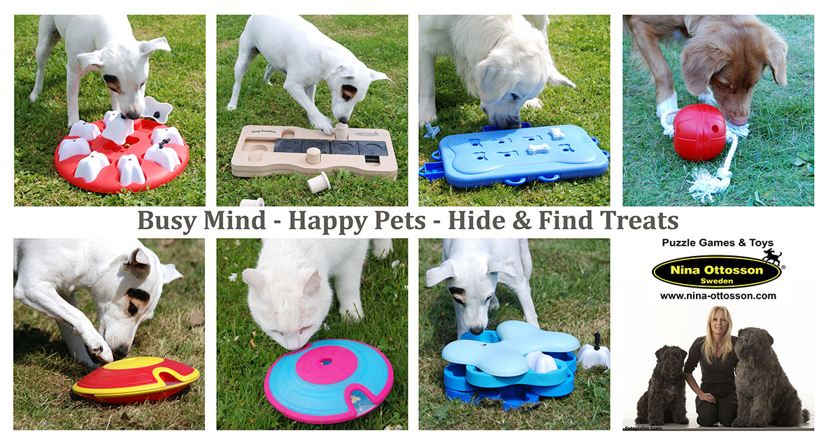 mind puzzles for dogs