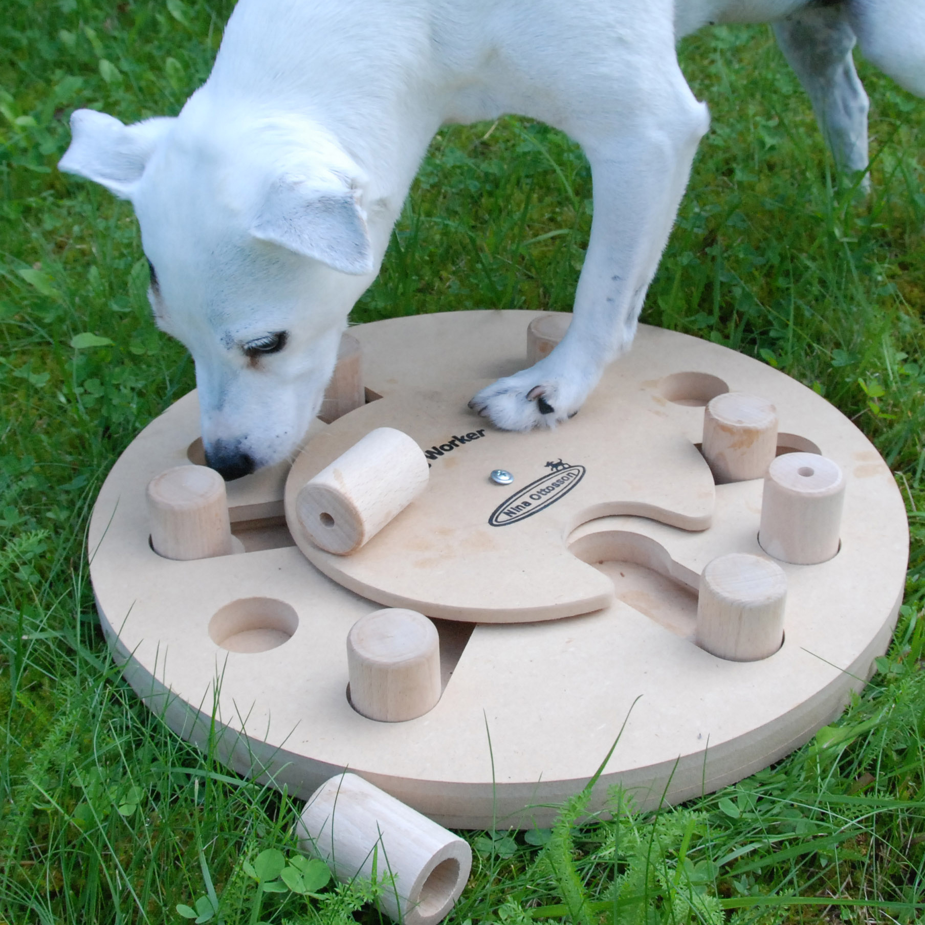 Photos & Reviews - Nina Ottosson Treat Puzzle Games for Dogs & Cats