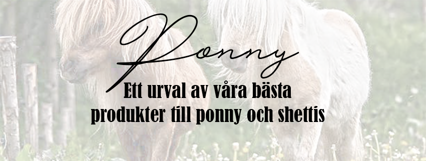 Ponny utrustning hos Taur