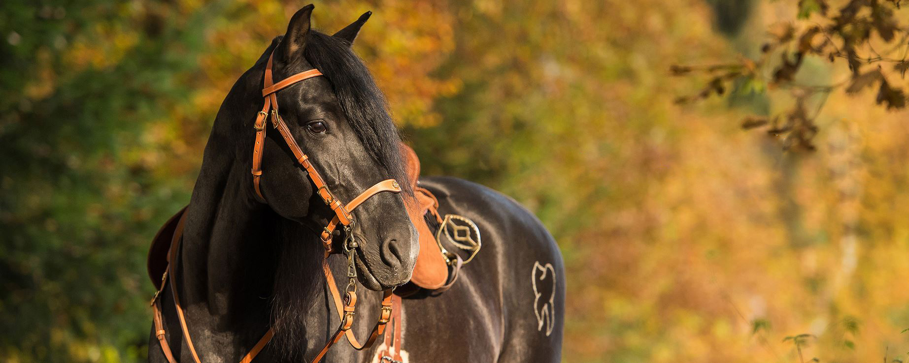 Barock hos Taur