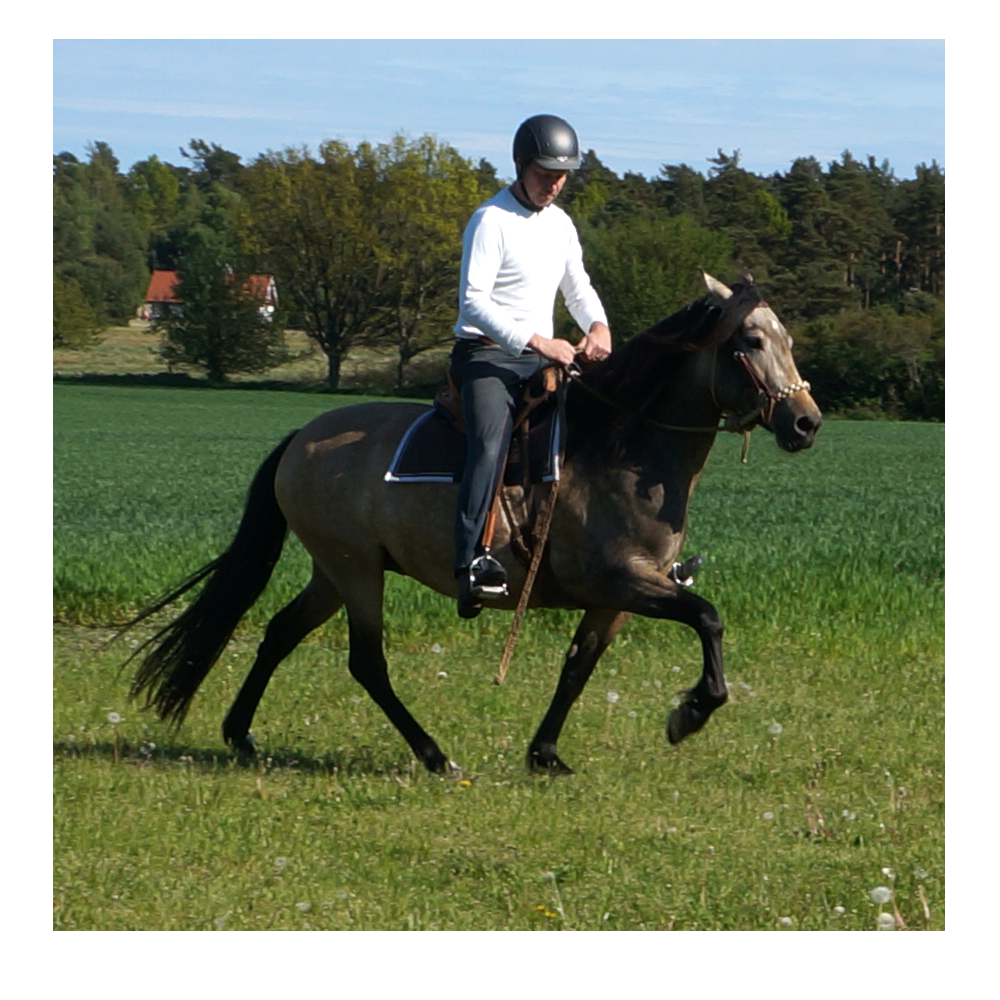 Deuber & Partner Quantum hos Taur