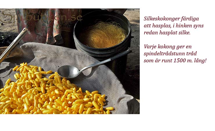 Haspling av silke
