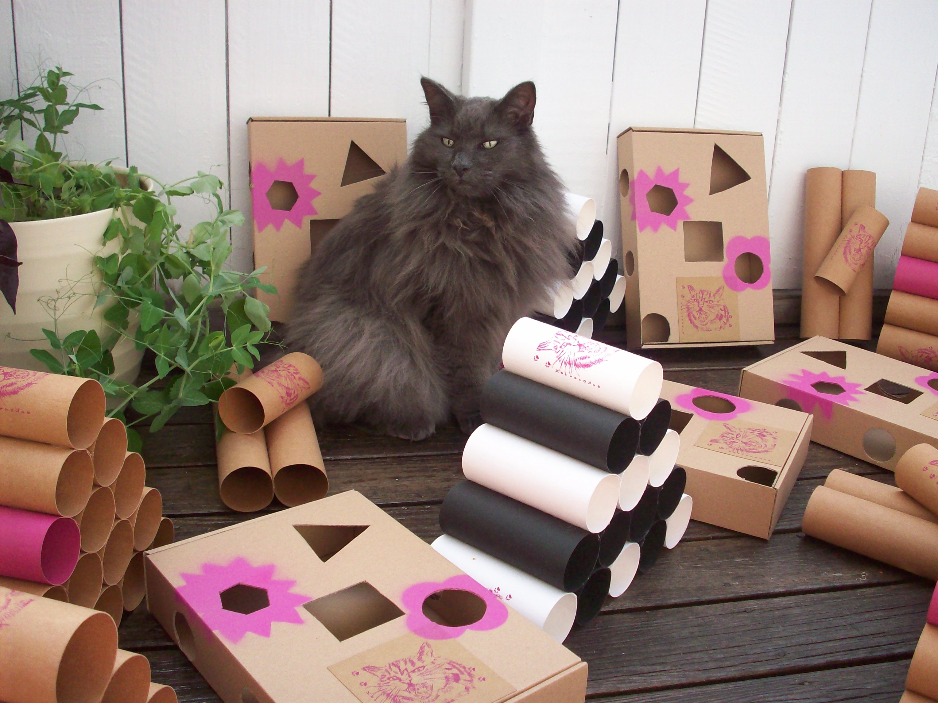 "Din katt kommer att älska dem"!  