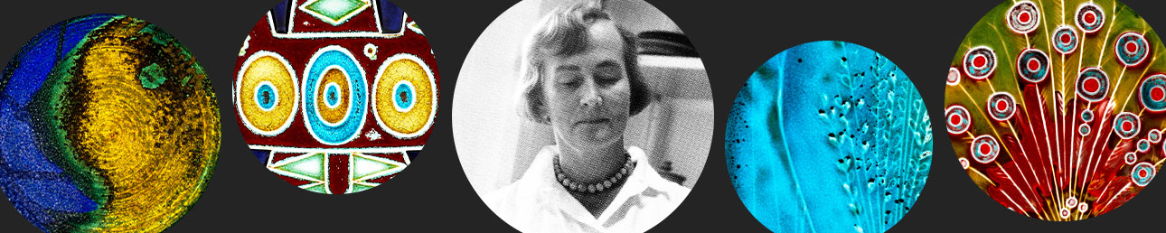 Annikki Hovisaari Arabia