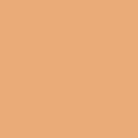 Mariskooli Marimekko Pomeranssi (Sevilla orange) 2002-2011