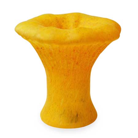 Monica Backström Kosta Boda Mushroom Kantarell (Chanterelle)