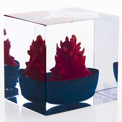 Year cube (1991)
