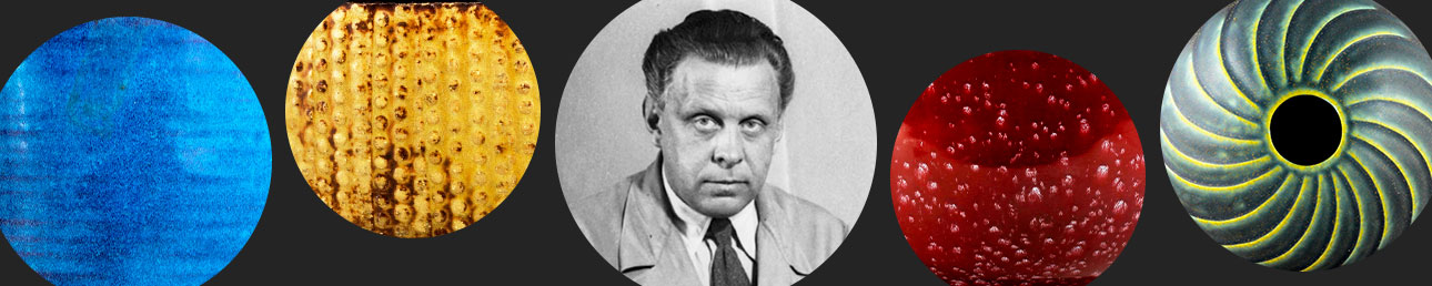 Wilhelm Kage