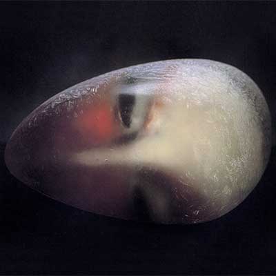 "Resting head"