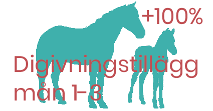 Digivningstillägg sto månad 1-3 - foderonline