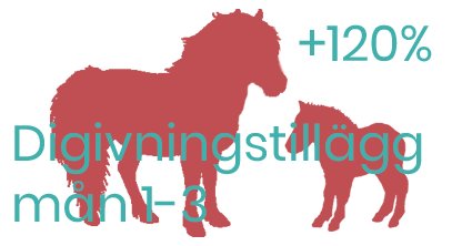 Digivningstillägg litet ponnysto månad 1-3 - foderonline
