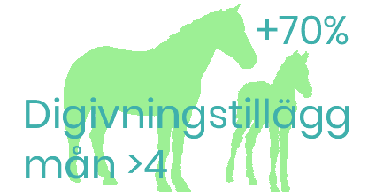 Digivningstillägg sto månad >4 - foderonline