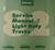 1982 GMC Light Trucks Service Manual