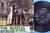 BEATLES - We can work it out + 3 EP Swe 1966 MINT(-) cover!