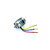 Brushless Speed 200 BB