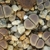 Lithops dinteri v. brevis PV 748 (North of Steinkopf)