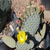 Opuntia rufida
