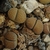 Lithops villetii v. kennedyi C 123