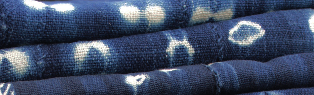 indigotyger fran Afrika