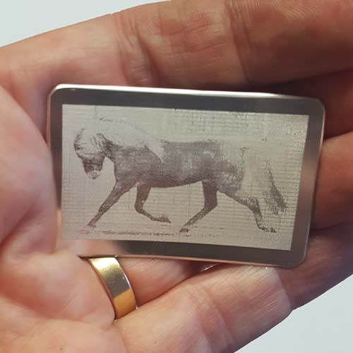 Silverbrosch fotogravyr häst