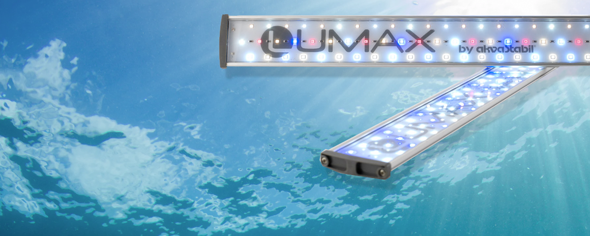 Akvastabil LED-Belysning Lumax Skapar en bättre miljö i ditt akvarium! 
