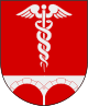 Bengtsfors kommun