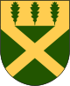 Flens kommun