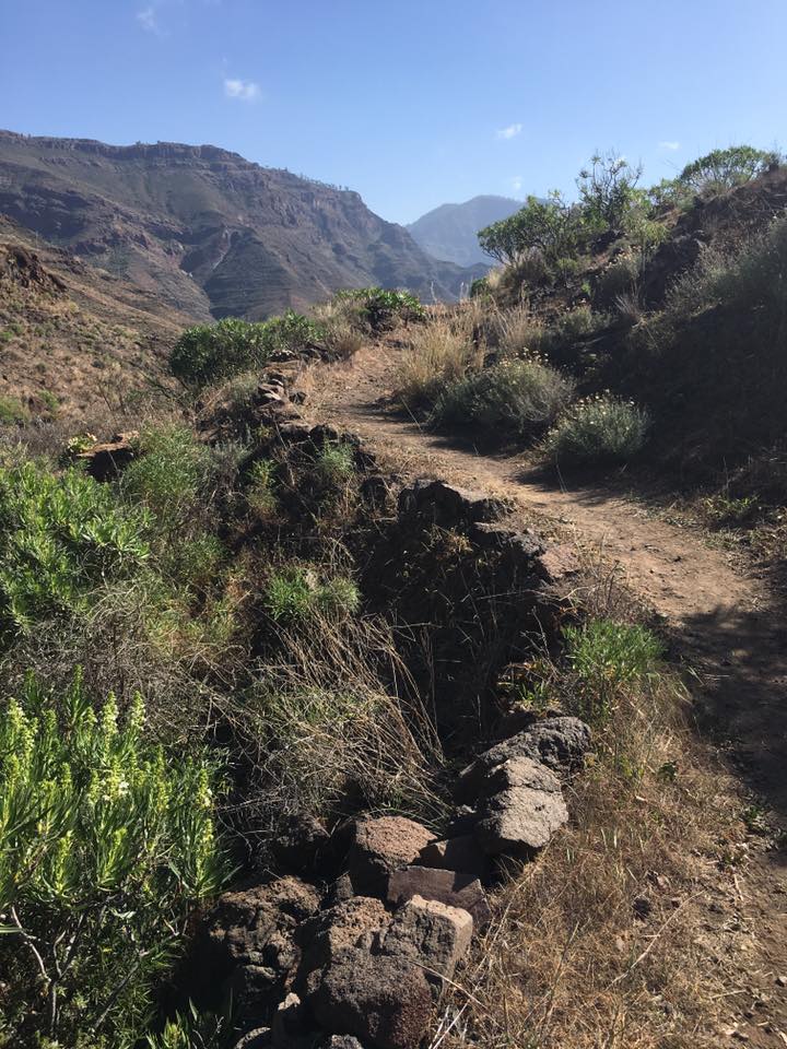 Vandring Gran Canaria