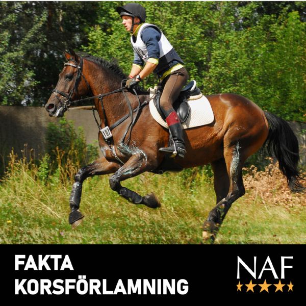 NAF FAKTA Korsförlamning