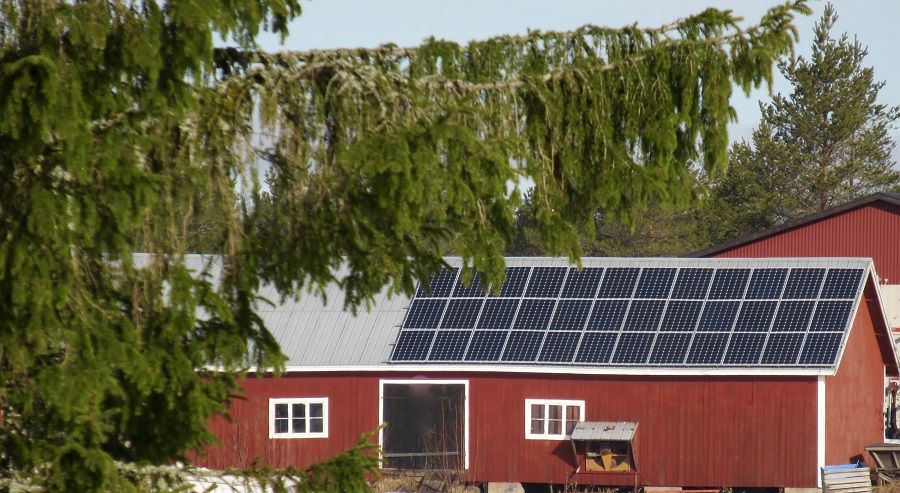Vad ger solen på AlterHedens gård