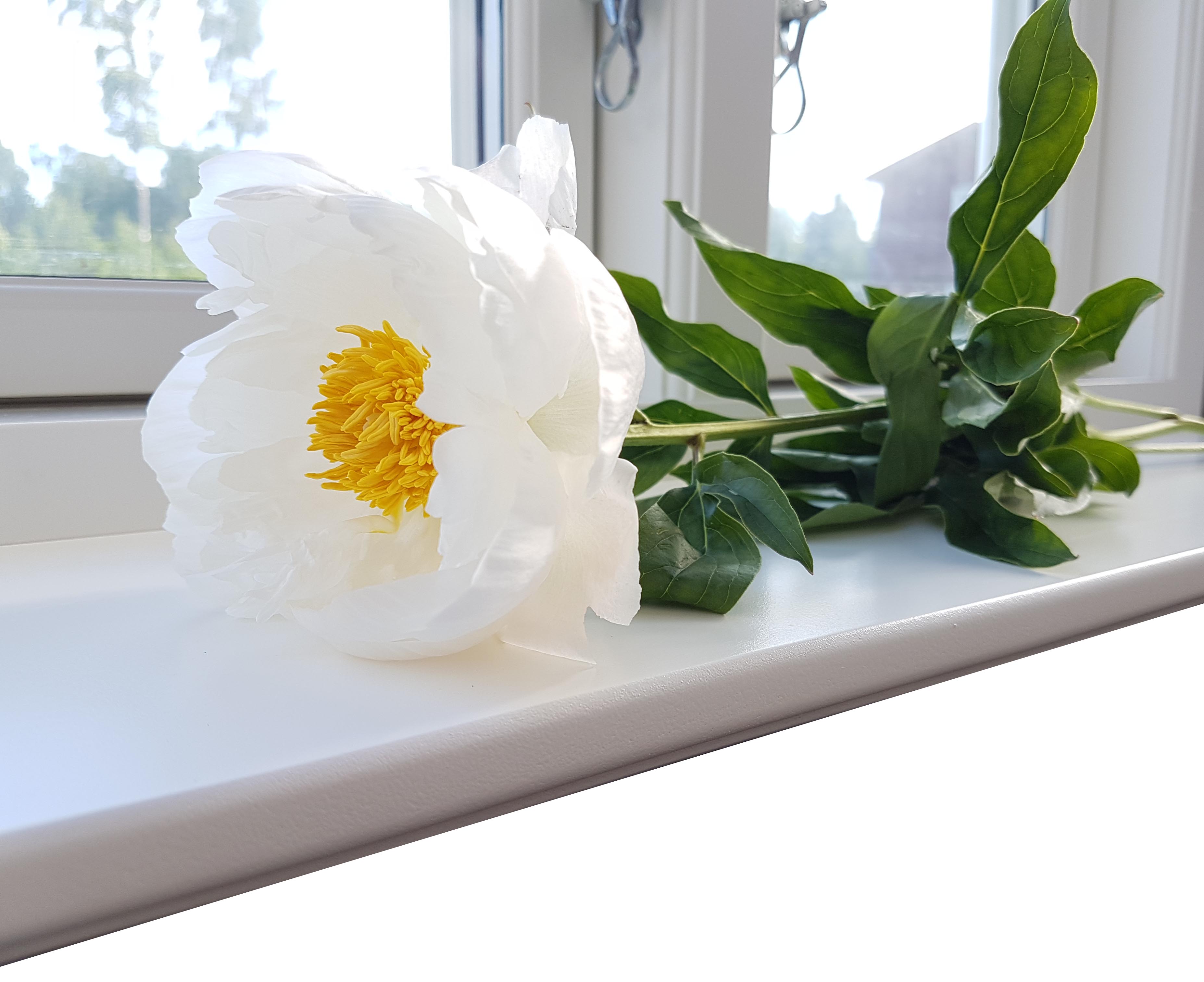 Fönsterbräda nitton nedre blomma