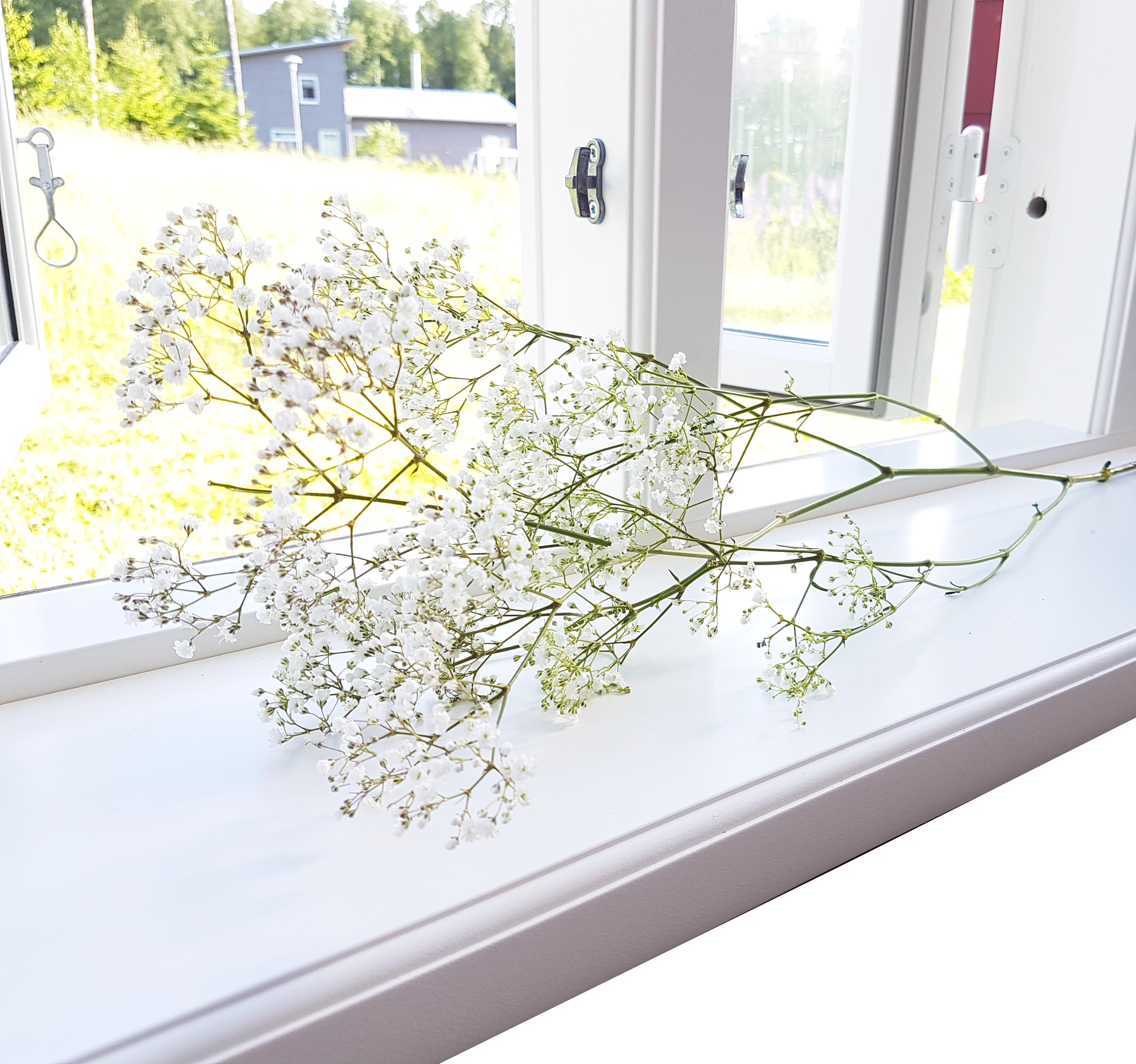Fönsterbräda torpet vit småblommor