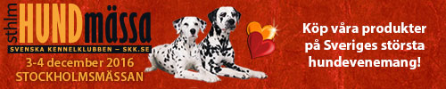 sthlm hundmassa