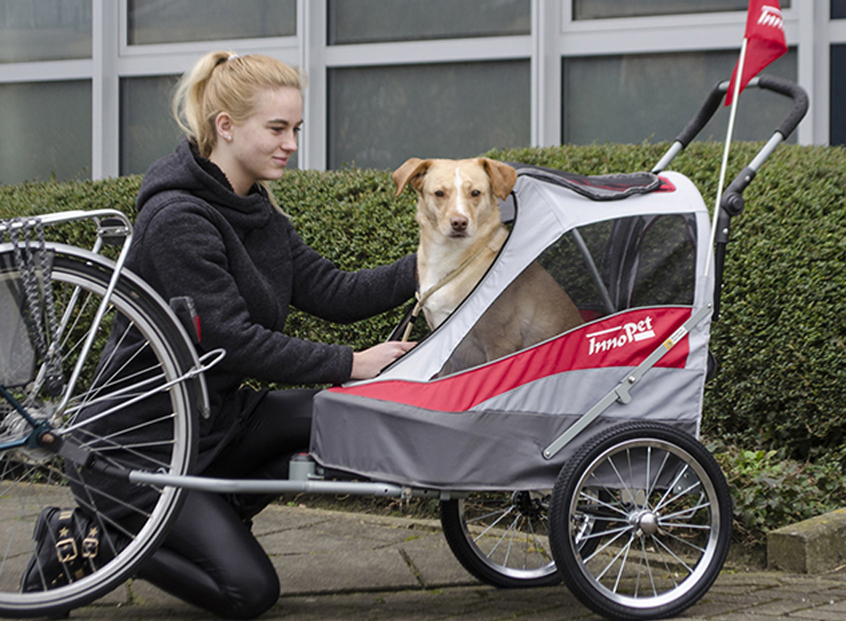 innopet sporty dog stroller