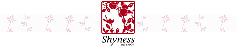 Shyness webshop