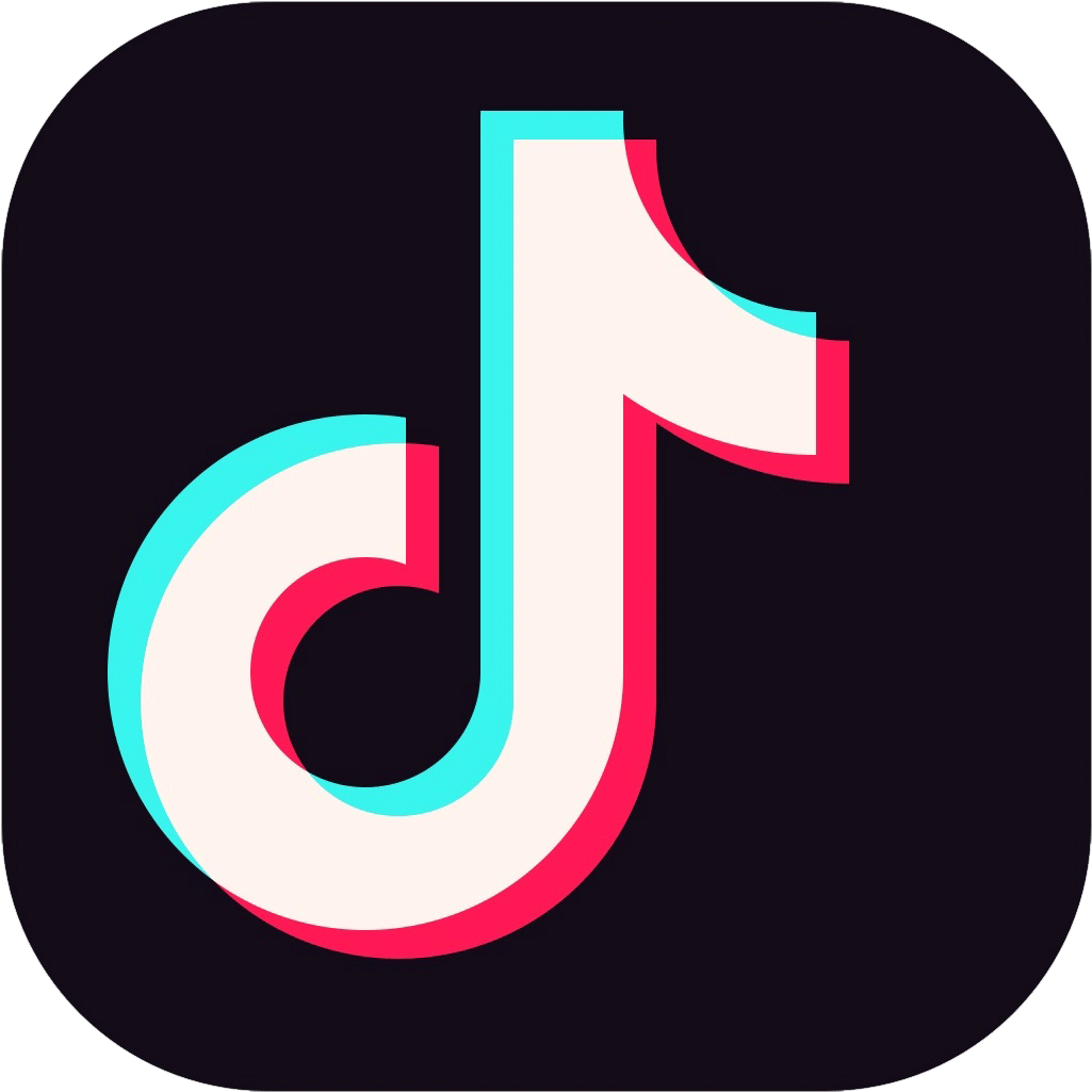 TikTok Icon