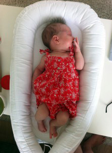 Babynest 17