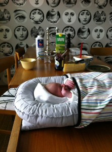 Babynest 19