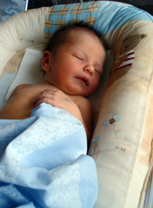 Babynest 22